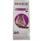 Bravecto Spot-On CHAT 6,2 - 12,5  kg 1 pipette- La Compagnie des Animaux