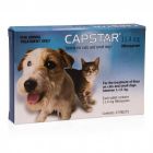 Capstar Tablets Cats and Small Dogs 1-11kg