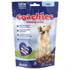 Coachies Adult - Dogtor.vet