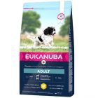 Eukanuba Adult Dog Medium Breed Chicken 12kg