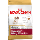 Royal Canin Puppy Cavalier King Charles - Dogtor.vet