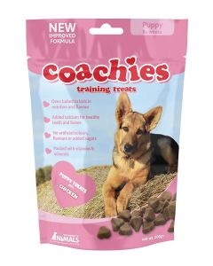 Coachies Puppy - Dogtor.vet