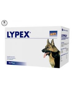 Lypex Capsules for Cats & Dogs (pack of 60)