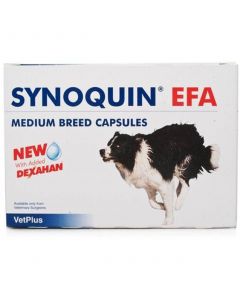 Synoquin EFA Capsules for medium dogs (pack of 120)