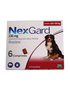 Nexgard XL Dogs - Dogtor.vet