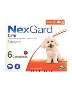Nexgard Small dog - Dogtor.vet