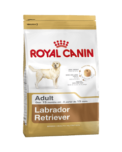 Royal Canin Adult Labrador - Dogtor.vet