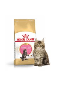 Royal Canin Kitten Maine Coon - Dogtor.vet