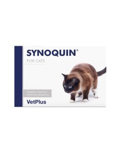 Synoquin Capsules for cats (pack of 90)