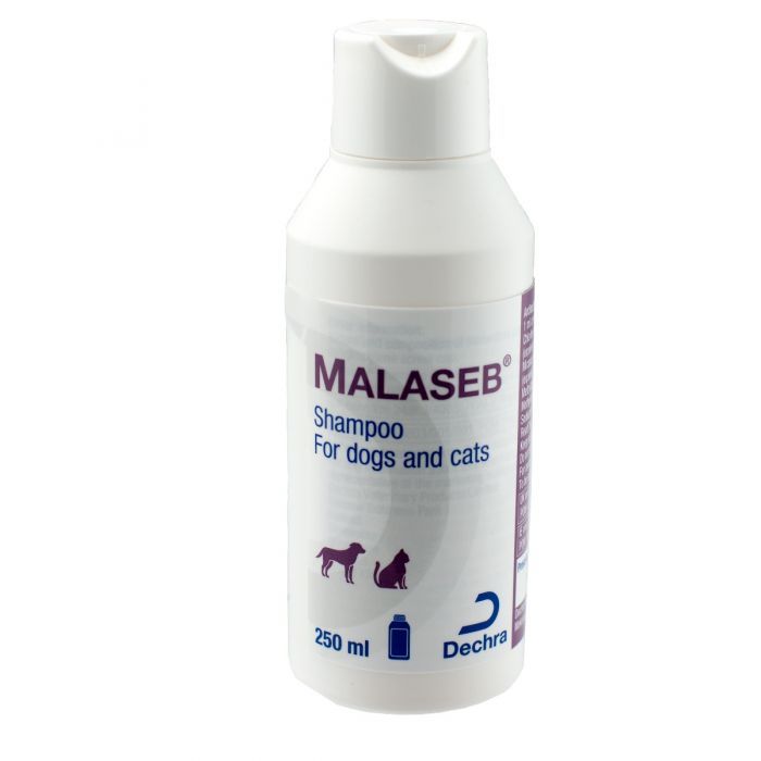 Dechra | Melaseb | Meds for Cats/Dogs | Dogtor.vet