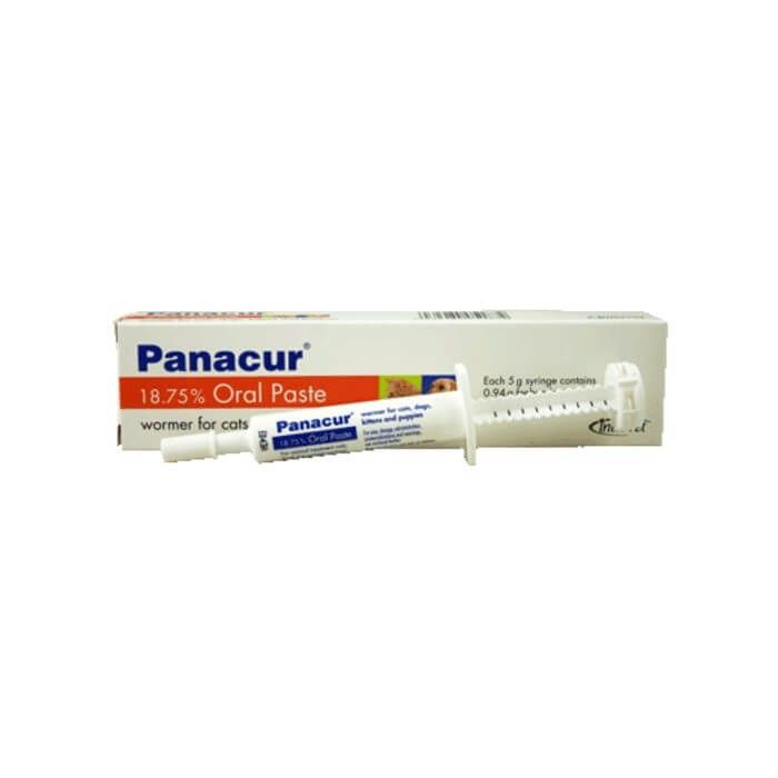 Copt Expresie vreme  MSD | Panacur | Worming Paste for Cats/Dogs | Dogtor.vet