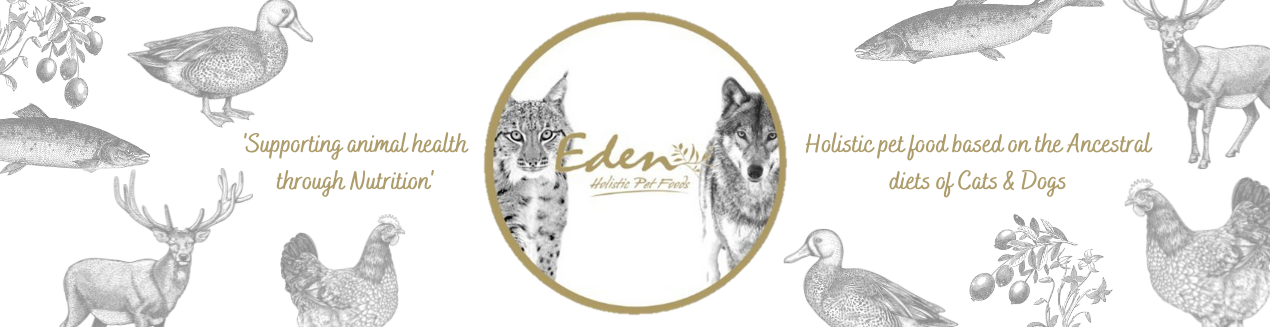 Dogtor - Eden Pet Foods