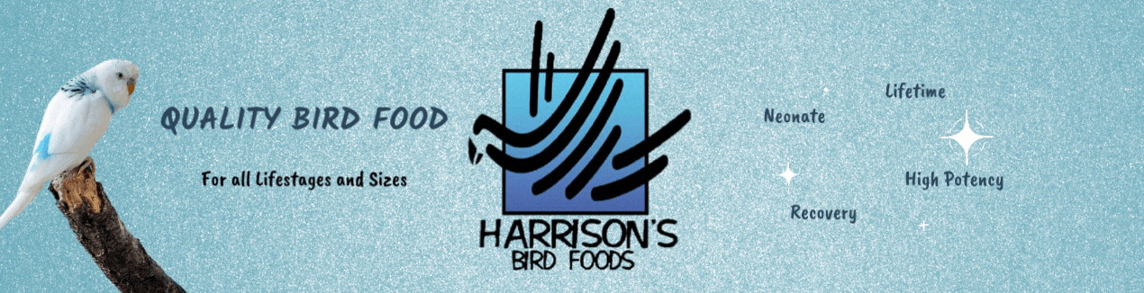 Dogtor - Harrisons Bird Food