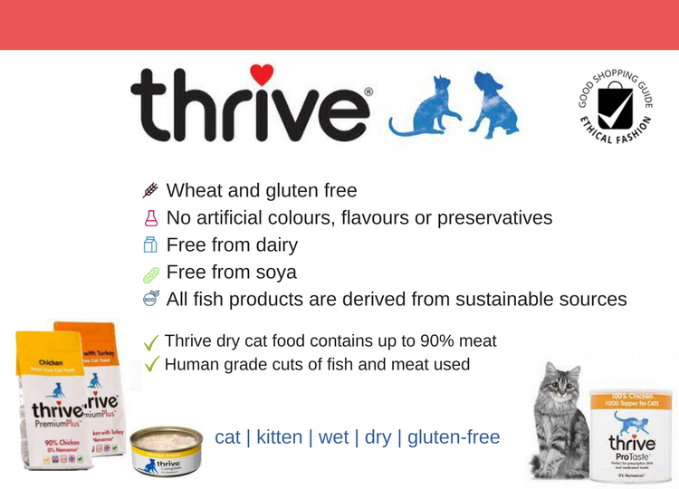 thrive food summary