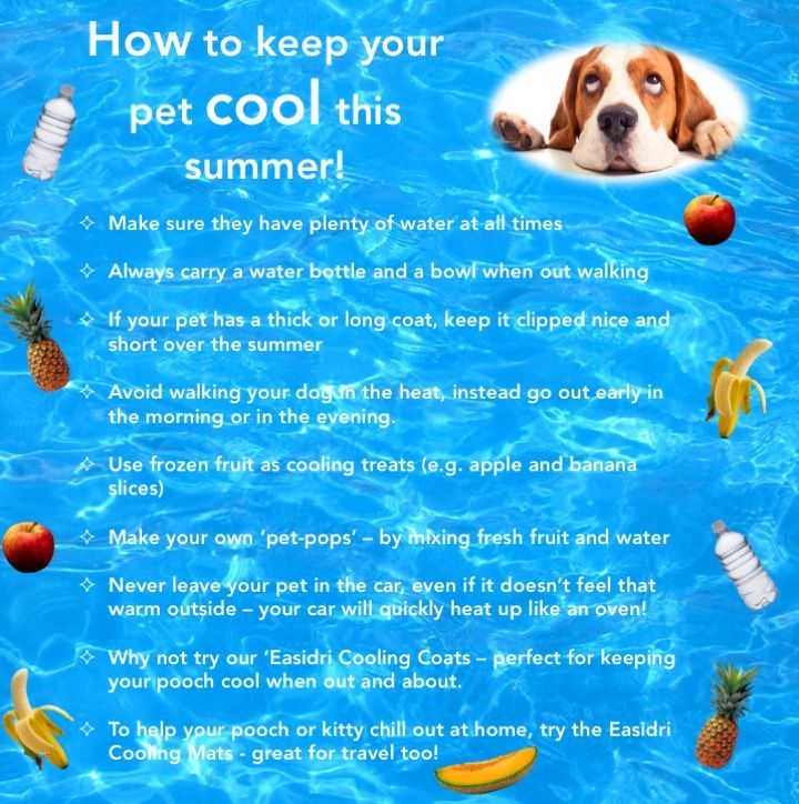 how to keep cool